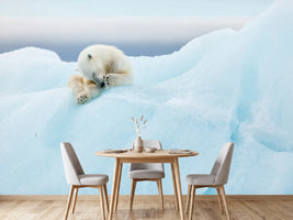 photo-wallpaper-polar-bear-grooming