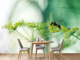 photo-wallpaper-xxl-parsnip