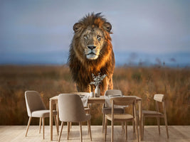 photo-wallpaper-lion-close-up-x