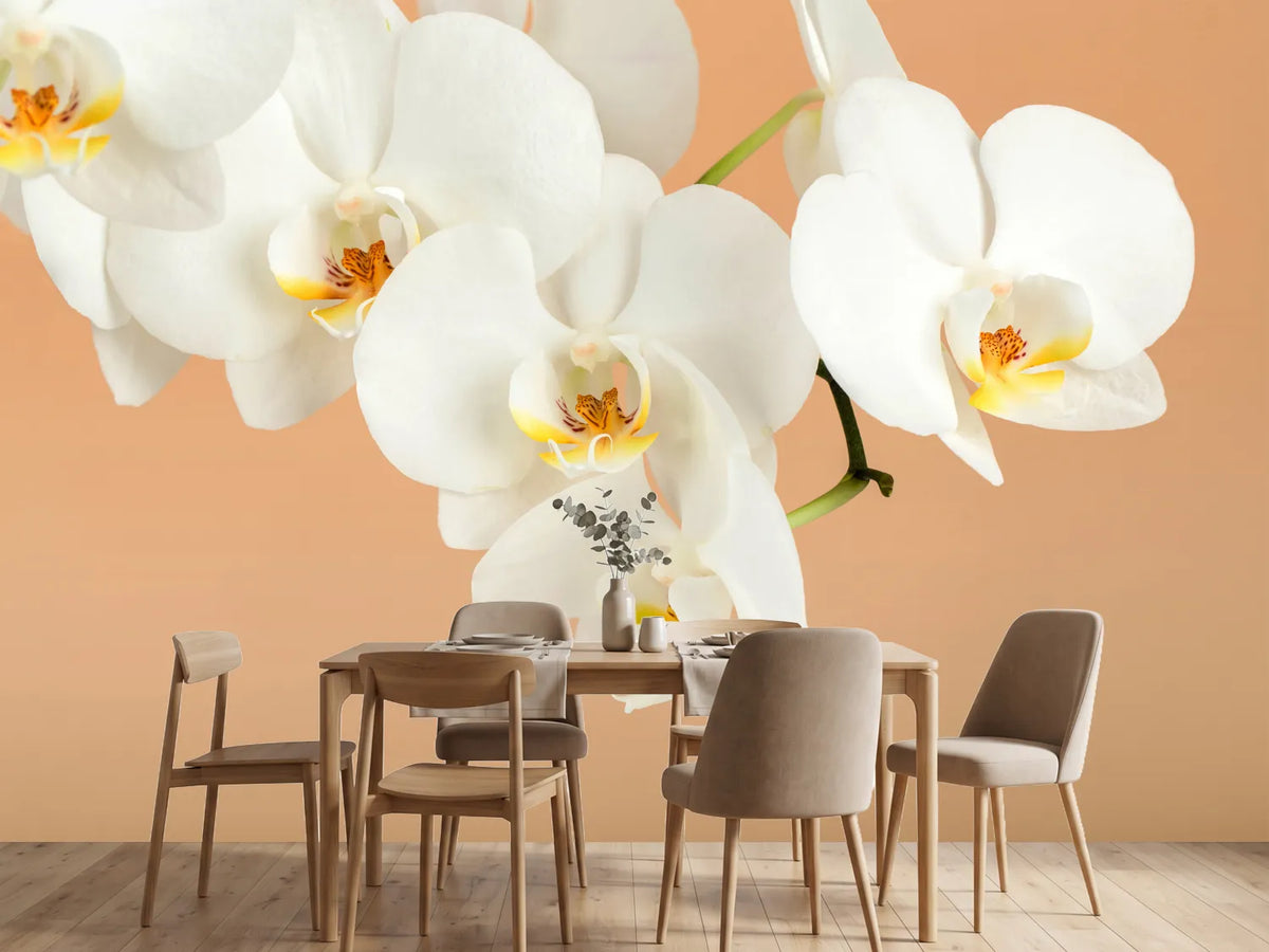 photo-wallpaper-white-orchid-flowers