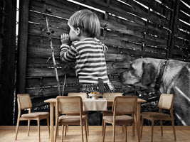 photo-wallpaper-the-world-from-behind-the-fence-x