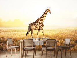 photo-wallpaper-the-giraffe