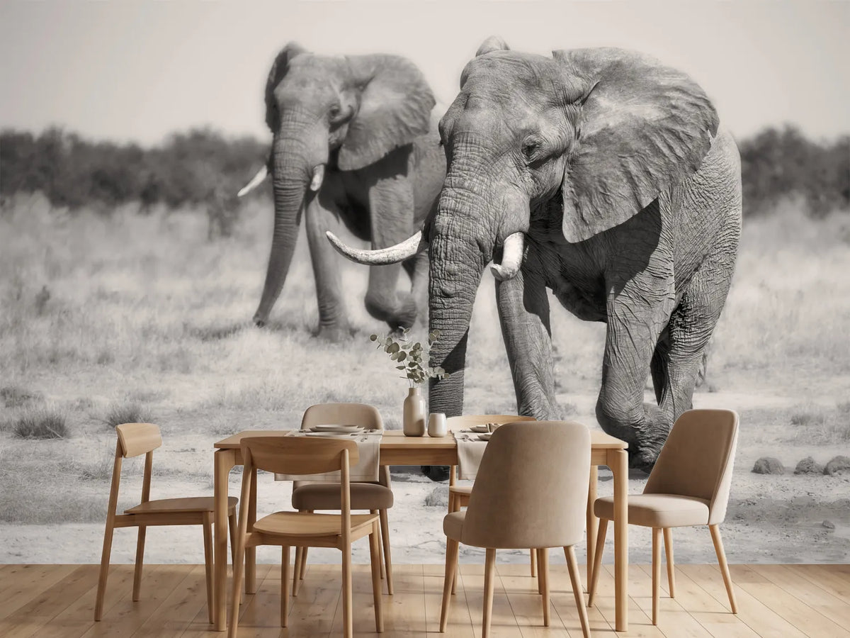 photo-wallpaper-twin-elephants-x