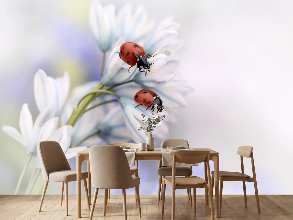 photo-wallpaper-ladybirds