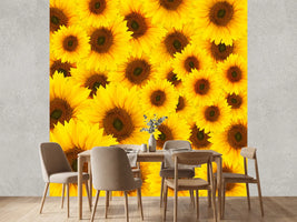 photo-wallpaper-a-bouquet-sunflower