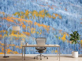 photo-wallpaper-snowy-autumn-forest