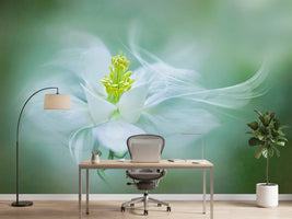 photo-wallpaper-mystical-xvs