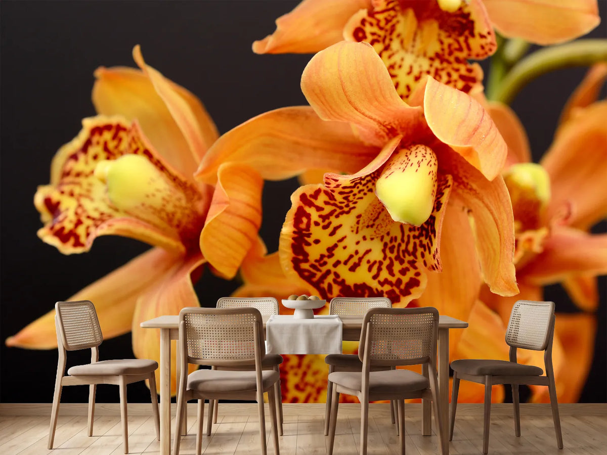 photo-wallpaper-orchids-with-orange-flowers