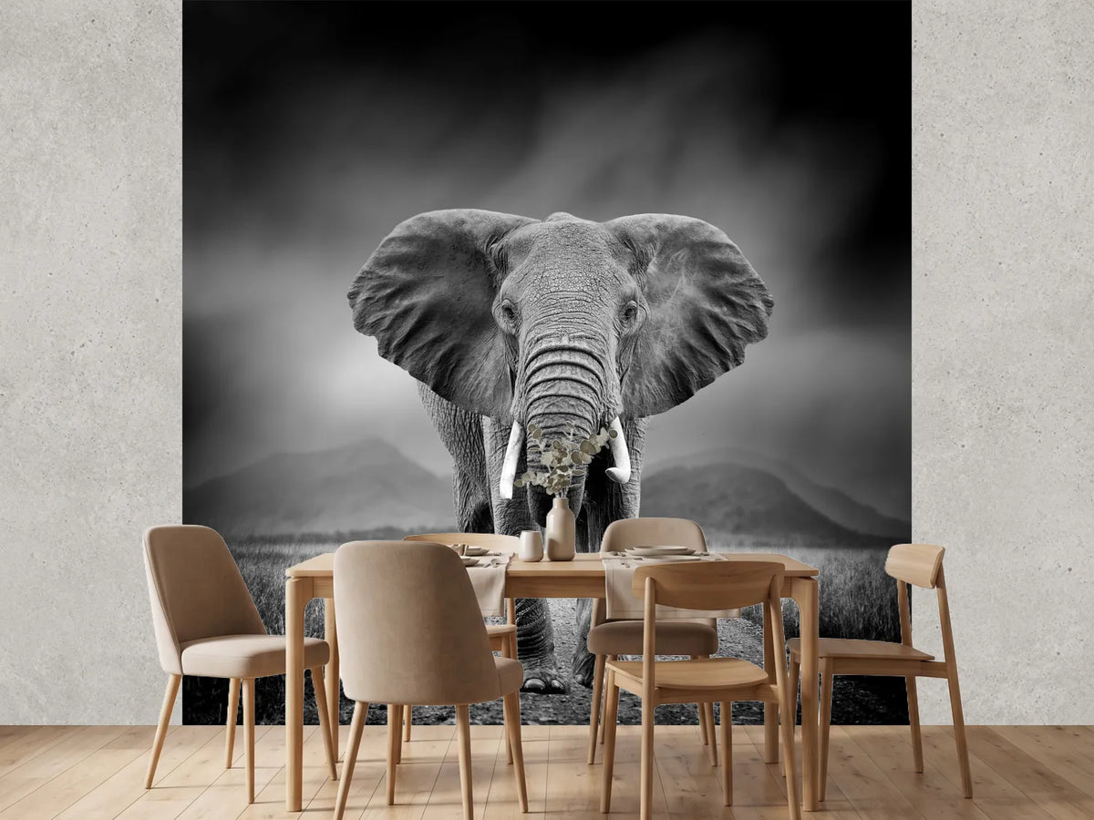 photo-wallpaper-black-and-white-image-of-a-elephant