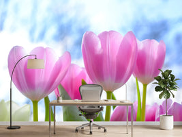photo-wallpaper-tulips-in-nature