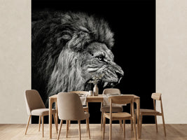 photo-wallpaper-roaring-lion-2-x