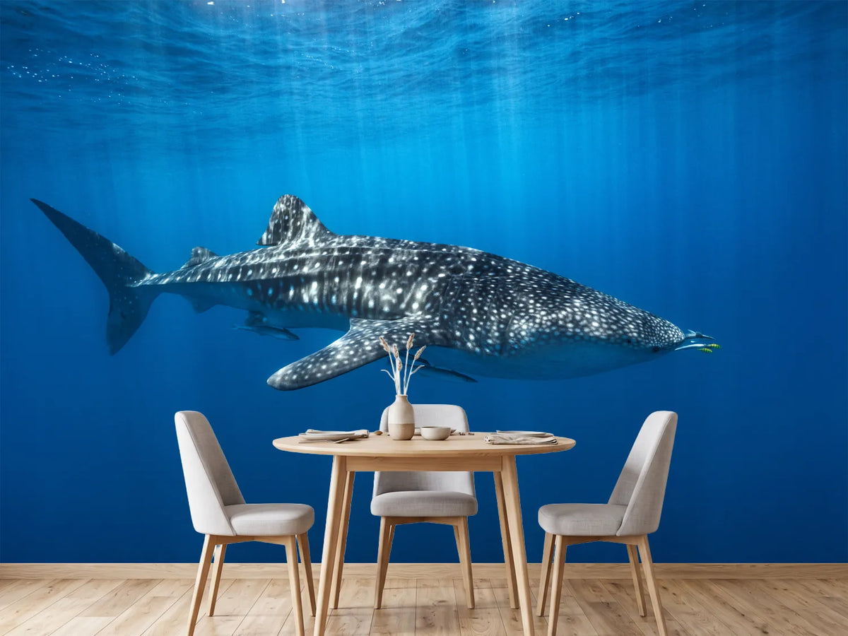 photo-wallpaper-whale-shark-in-the-blue-x