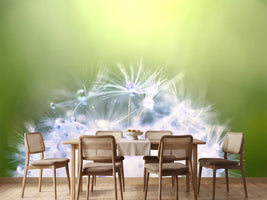 photo-wallpaper-dandelion-xl-in-morning-dew