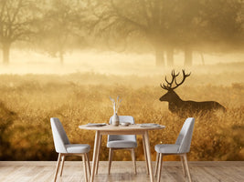 photo-wallpaper-red-deer-stag-silhouette-in-the-mist-2