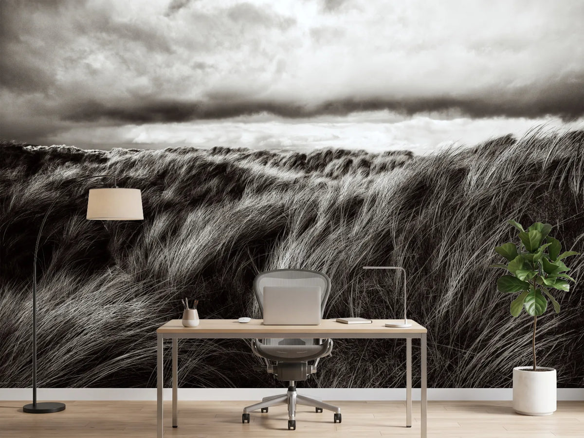 photo-wallpaper-wind-swept-dune-grass