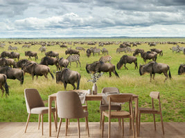 photo-wallpaper-great-migration-in-serengeti-plains-x