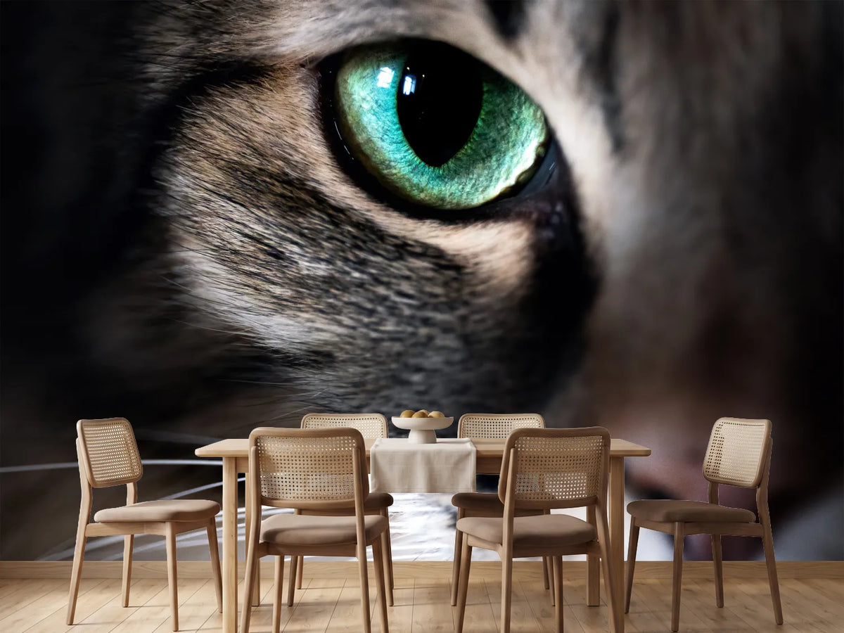 photo-wallpaper-cat-eye-macro-closeup-animal