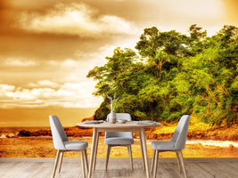 photo-wallpaper-sunset-at-the-end-of-the-forest