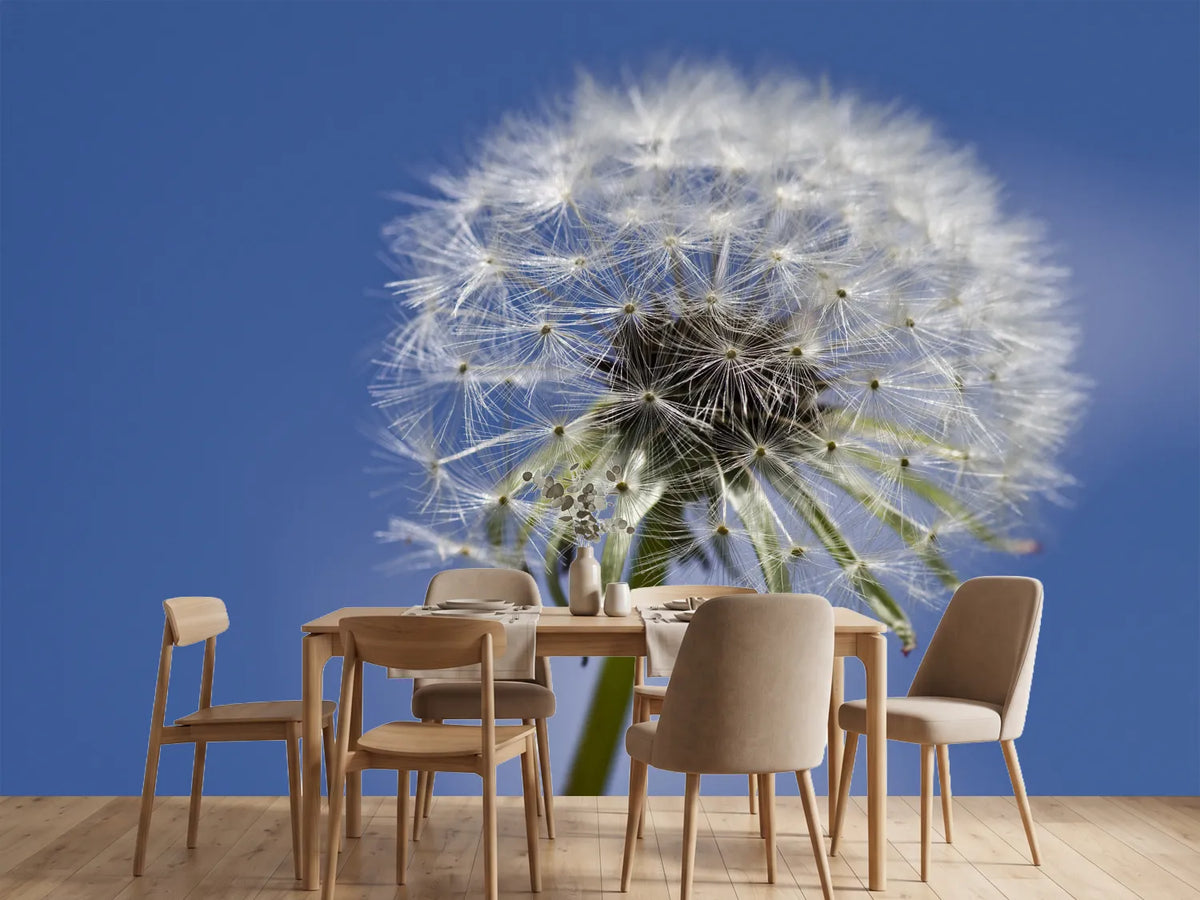 photo-wallpaper-the-dandelion-in-xxl