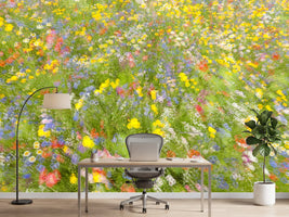 photo-wallpaper-summer-field-flowers-x