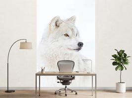 photo-wallpaper-portrait-of-an-arctic-wolf-x