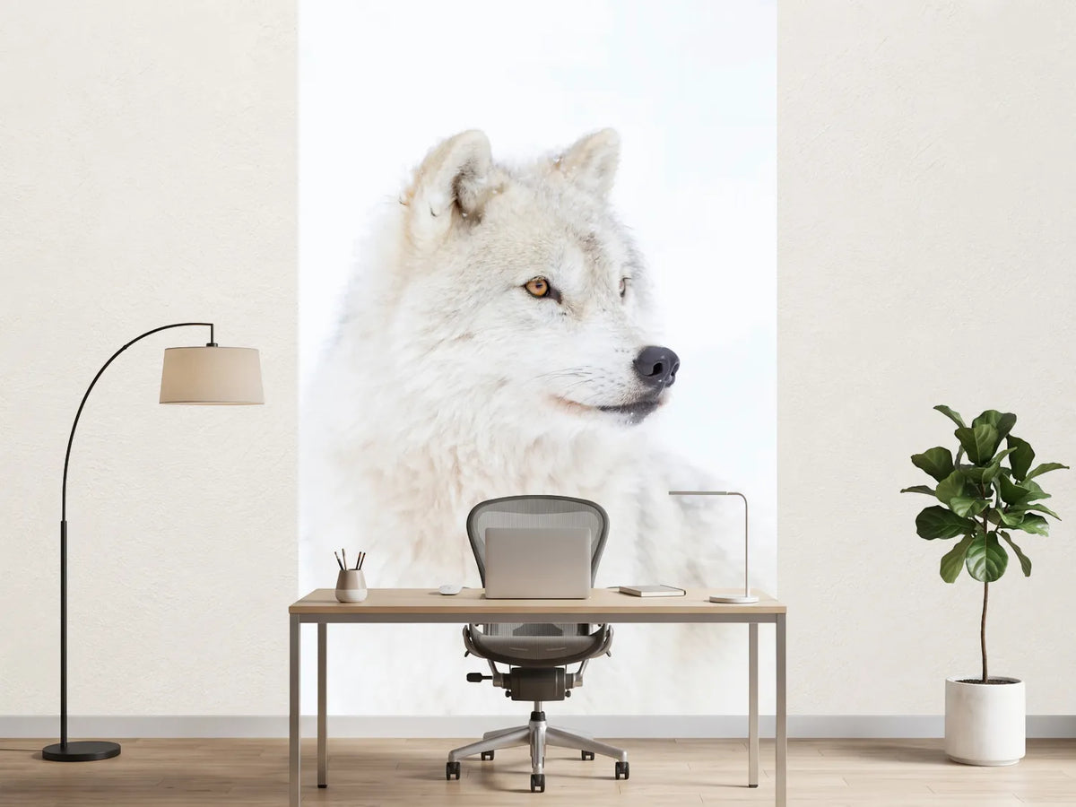photo-wallpaper-portrait-of-an-arctic-wolf-x