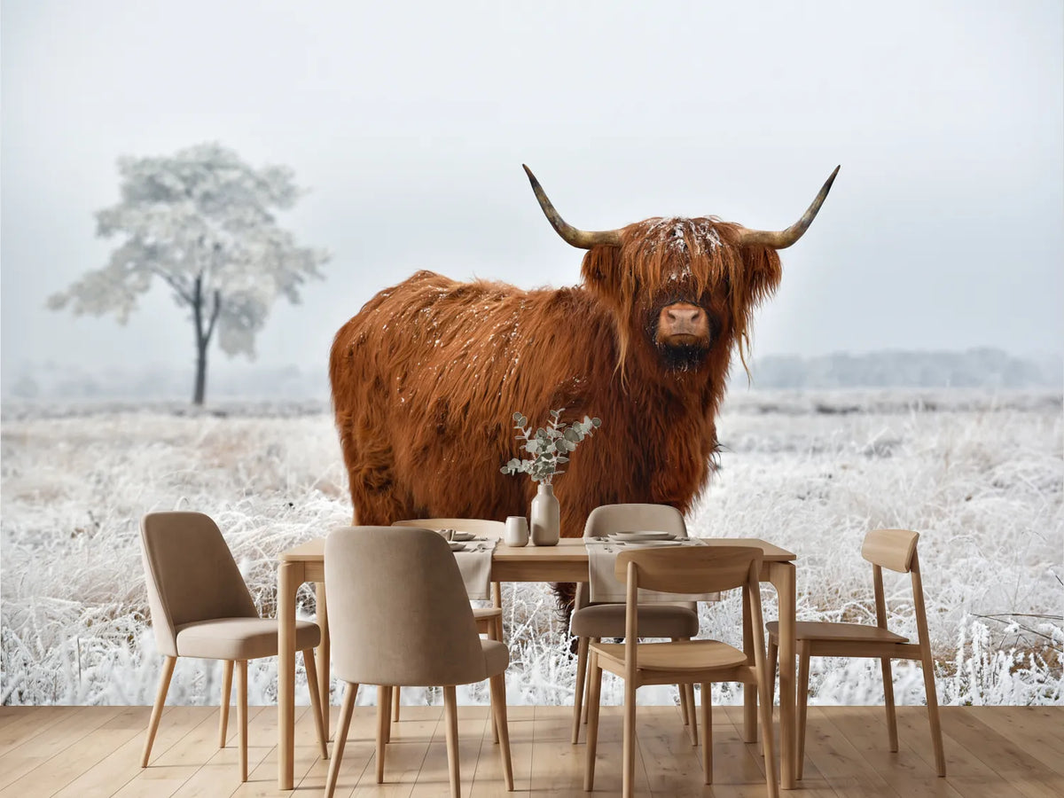 photo-wallpaper-scottish-highlander-in-a-natural-winter-landscape