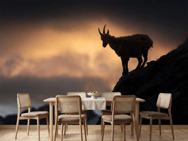 photo-wallpaper-alpine-ibex-x
