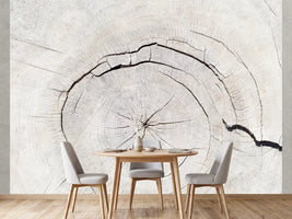 photo-wallpaper-light-wood-grain-texture