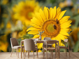 photo-wallpaper-bees-at-work