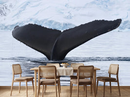 photo-wallpaper-the-humpback-whale