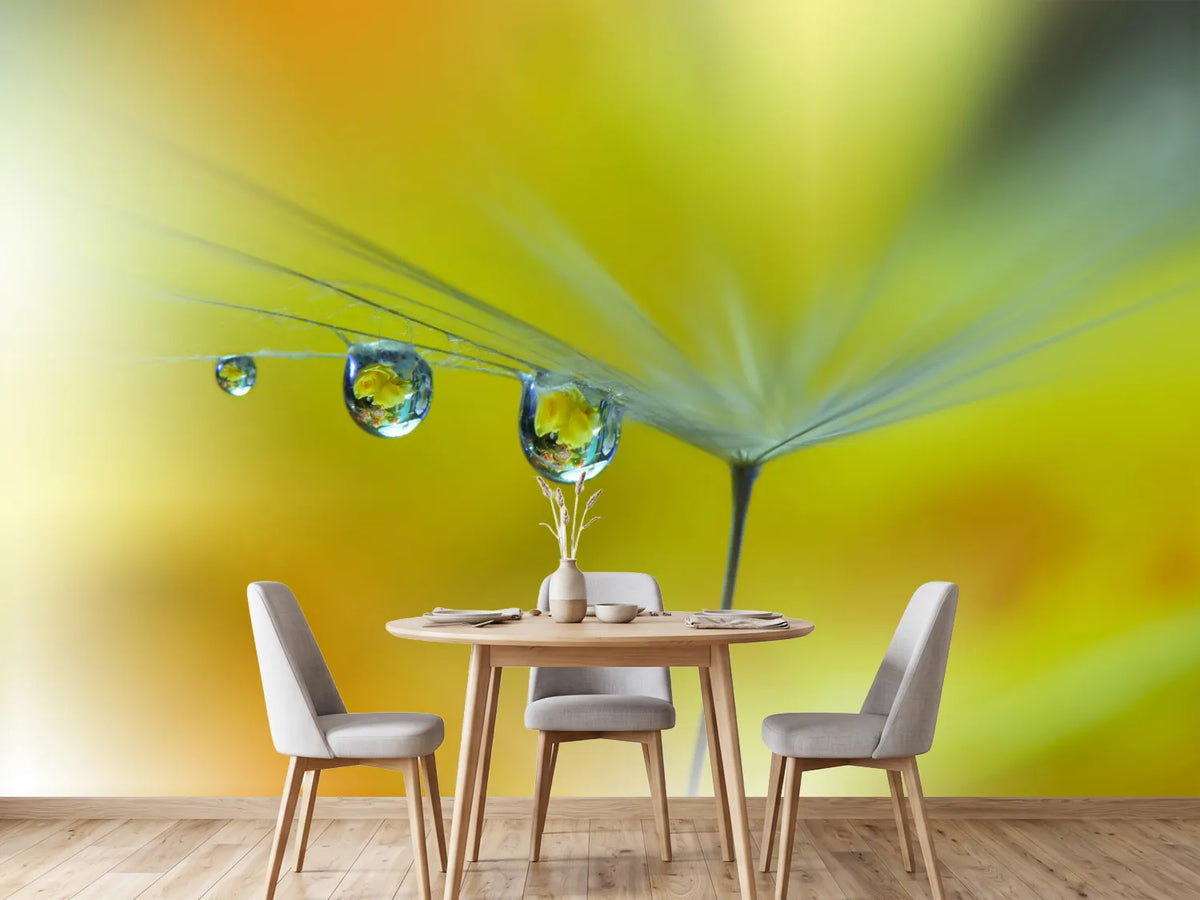 photo-wallpaper-sunbeam-iii