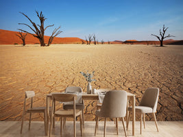 photo-wallpaper-desert