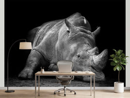 photo-wallpaper-powerful-resting-rhino