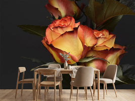 photo-wallpaper-roses-of-the-romance