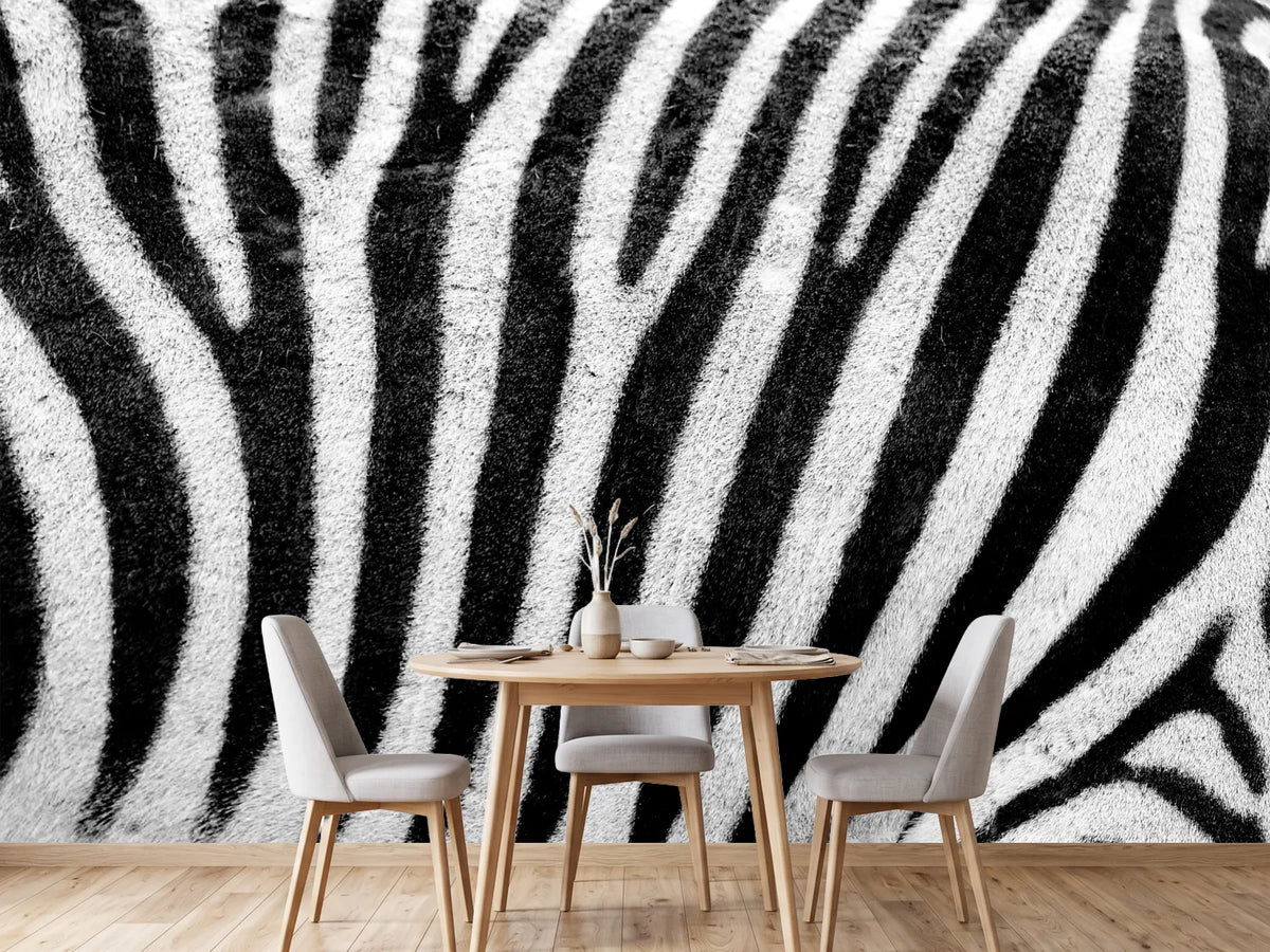 photo-wallpaper-strip-of-the-zebra