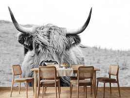 photo-wallpaper-brown-highland-cow-in-black-and-white