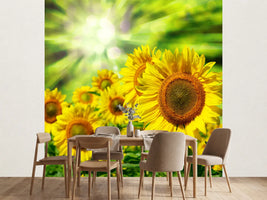 photo-wallpaper-the-sun-and-the-flowers