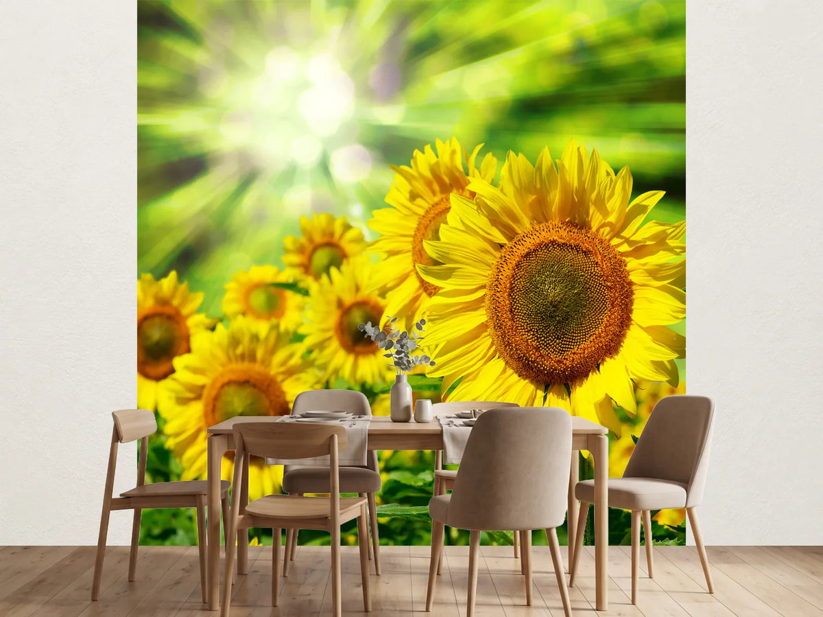 photo-wallpaper-the-sun-and-the-flowers