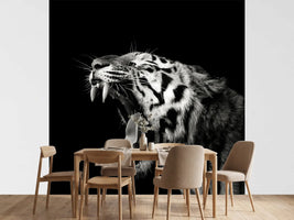 photo-wallpaper-primal-yawn-4-x
