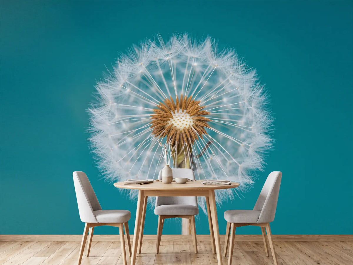 photo-wallpaper-dandelion-a