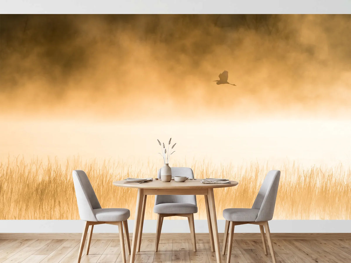 photo-wallpaper-golden-morning-flight