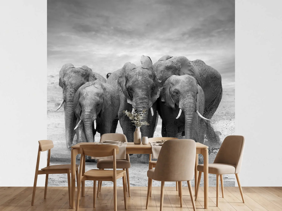 photo-wallpaper-the-elephants