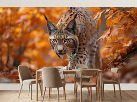 photo-wallpaper-lynx-prowling-through-golden-autumn-leaves