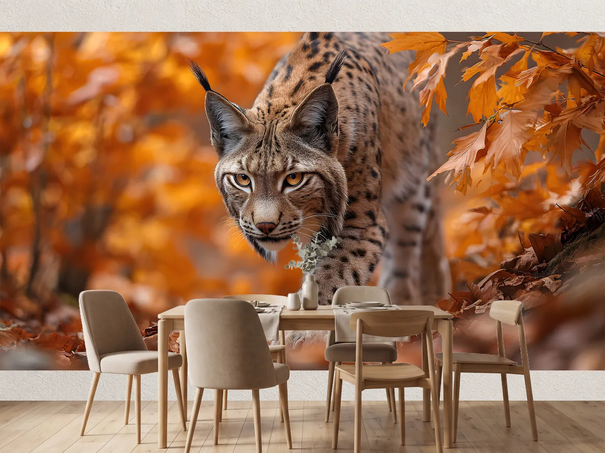 photo-wallpaper-lynx-prowling-through-golden-autumn-leaves