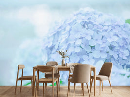 photo-wallpaper-the-hydrangea