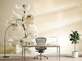 photo-wallpaper-orchid-in-the-glass