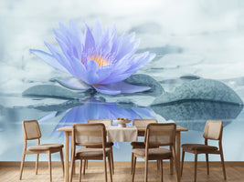 photo-wallpaper-reflection-xus