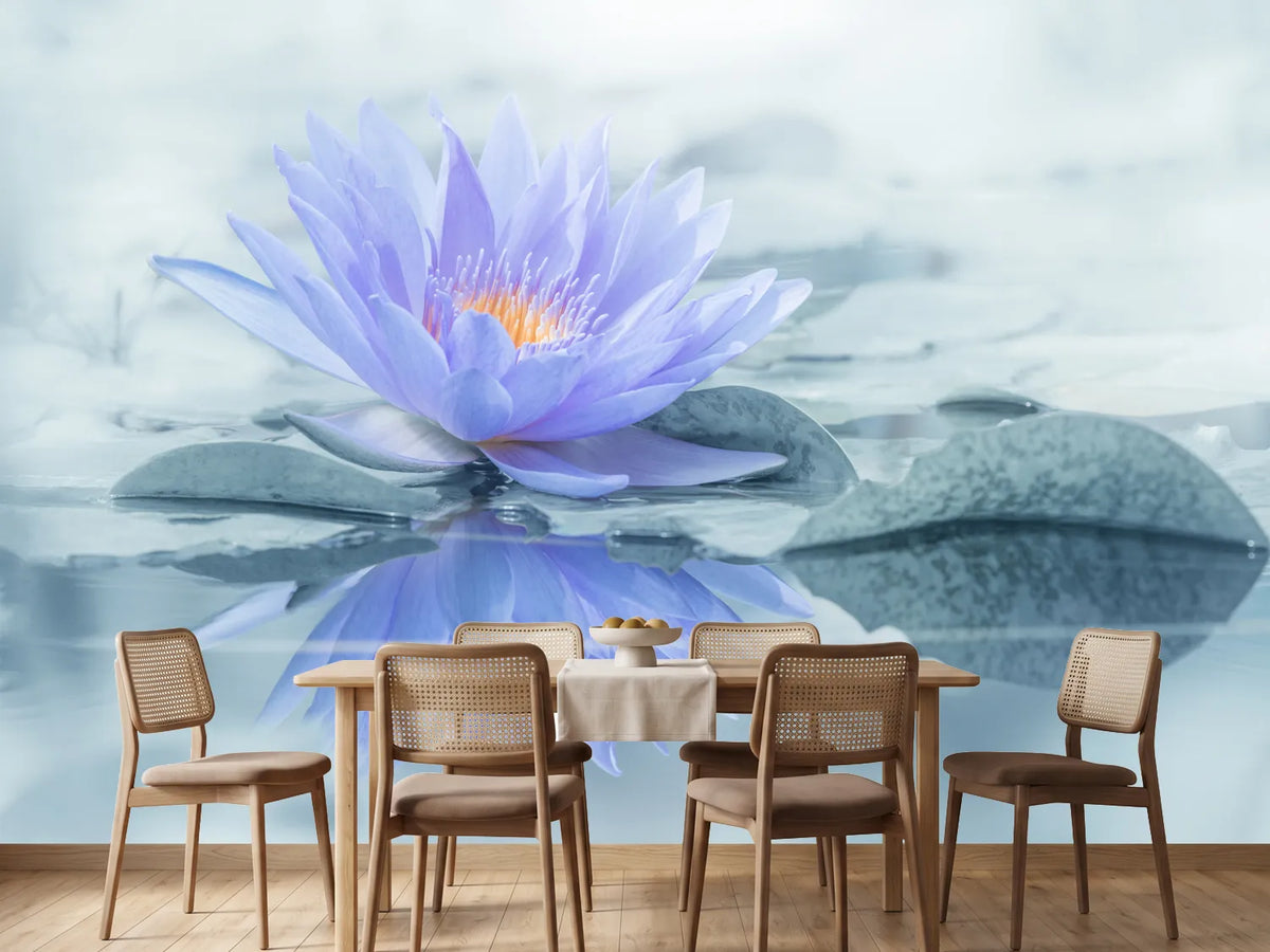 photo-wallpaper-reflection-xus