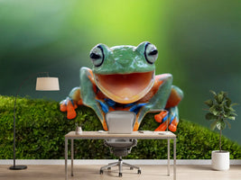 photo-wallpaper-tree-frog-flying-frog-laughing